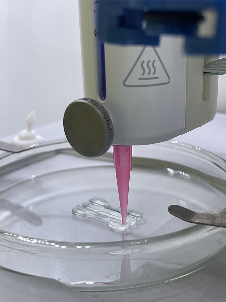 Druk 3D elastomeru DNGE